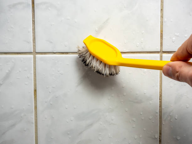Best Black Mold Removal  in Schaumburg, IL