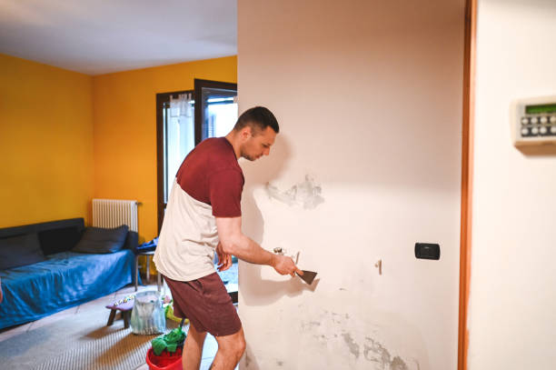 Best Crawl Space Mold Removal  in Schaumburg, IL